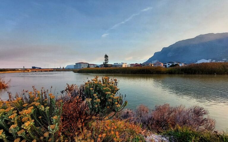 tn_zandvlei-01
